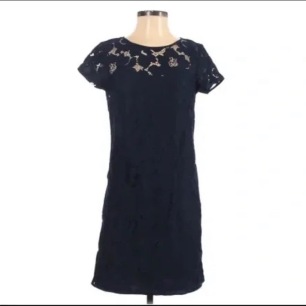 LOFT Lace Overlay Dress
